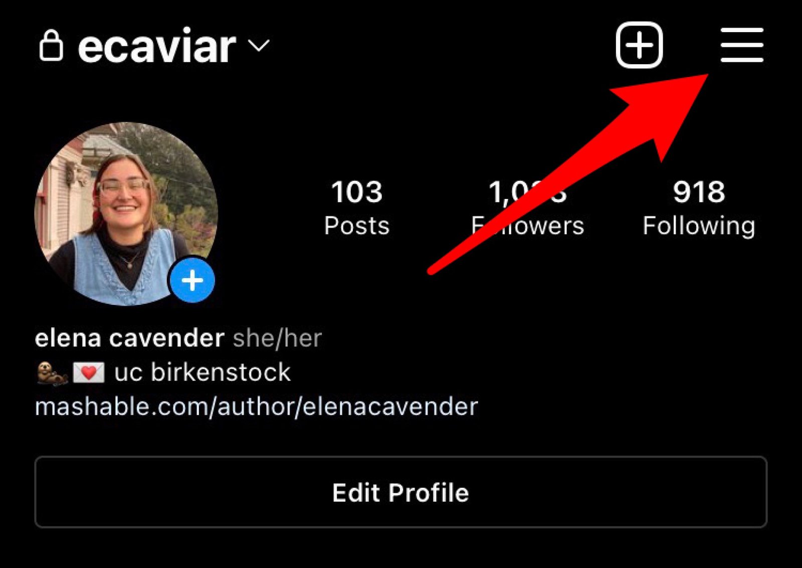 Screenshot of an Instagram profile with an arrow pointing to the three lines.