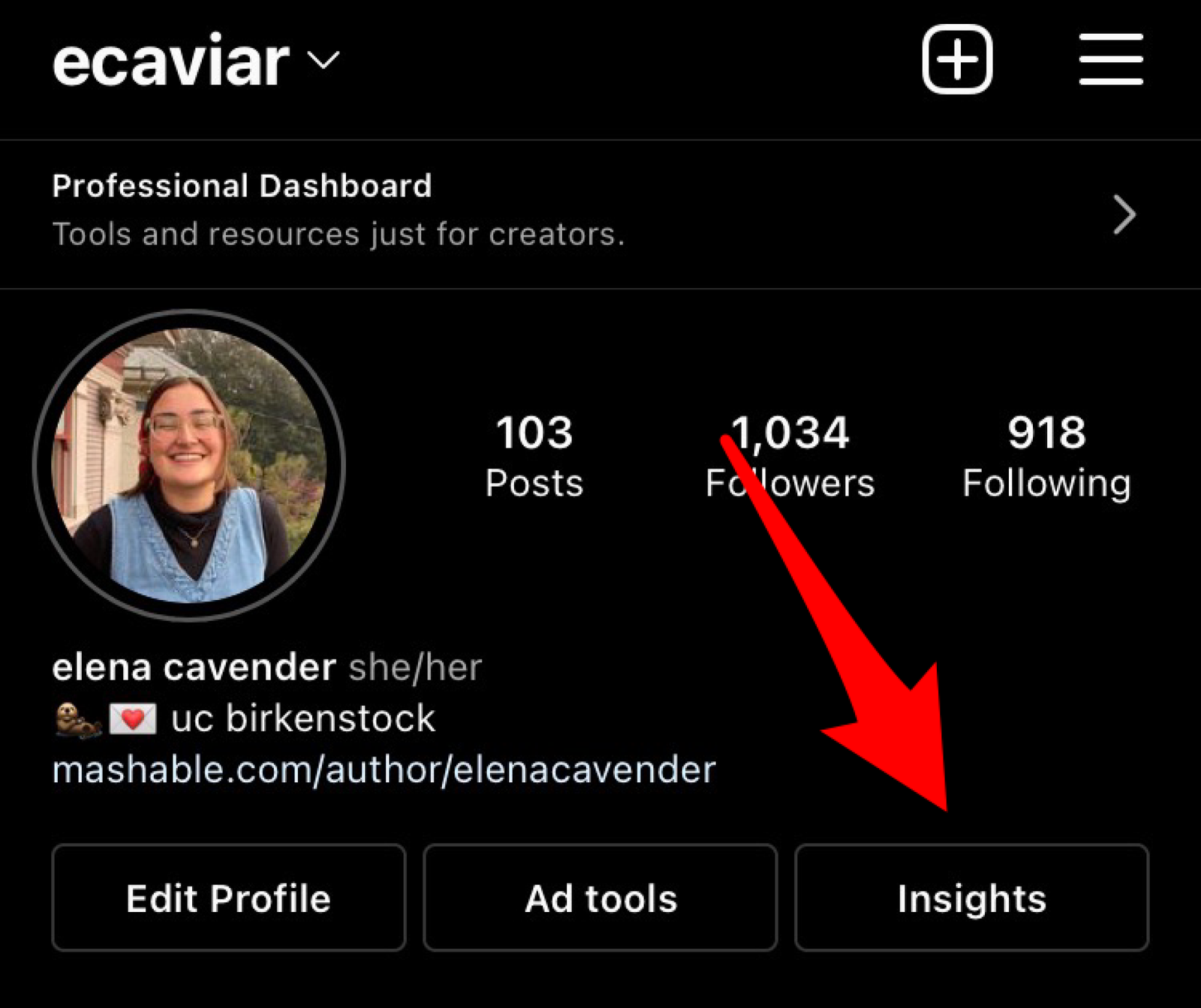 Arrow pointing to "Insights."