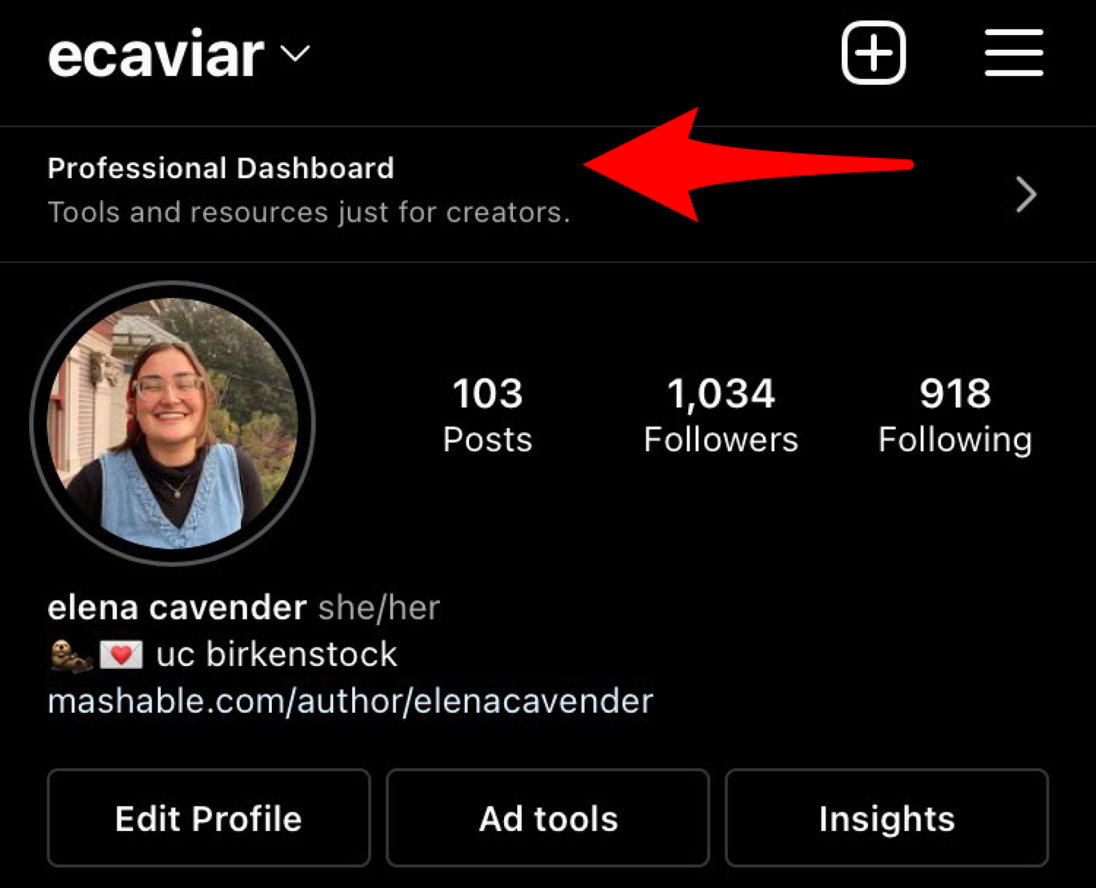 Arrow pointing at "Professional Dashboard."